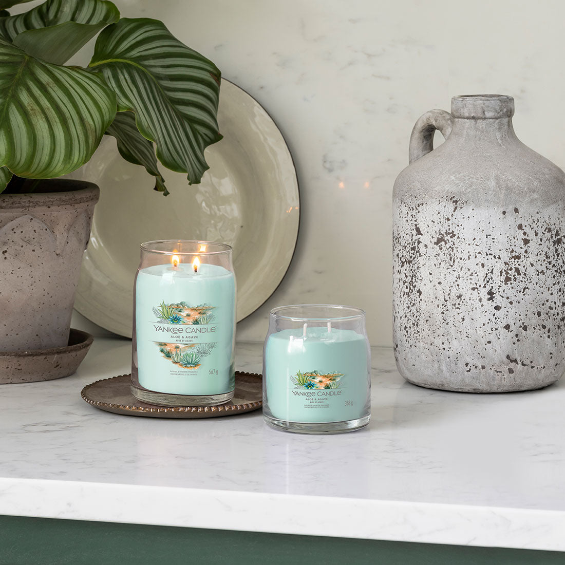 СВЕЩ YANKEE CANDLE SIGNATURE ALOE AGAVE